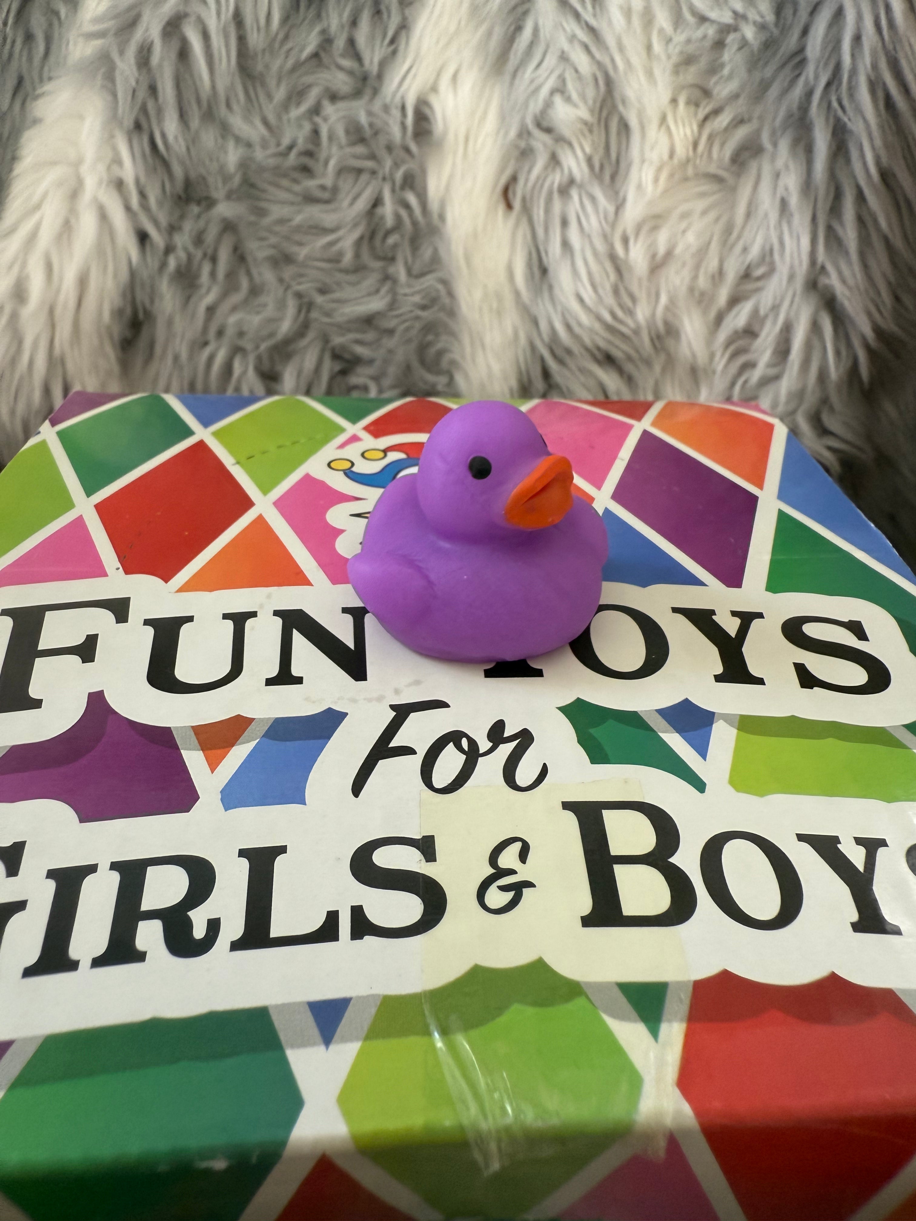 Mini Duck Squishy
