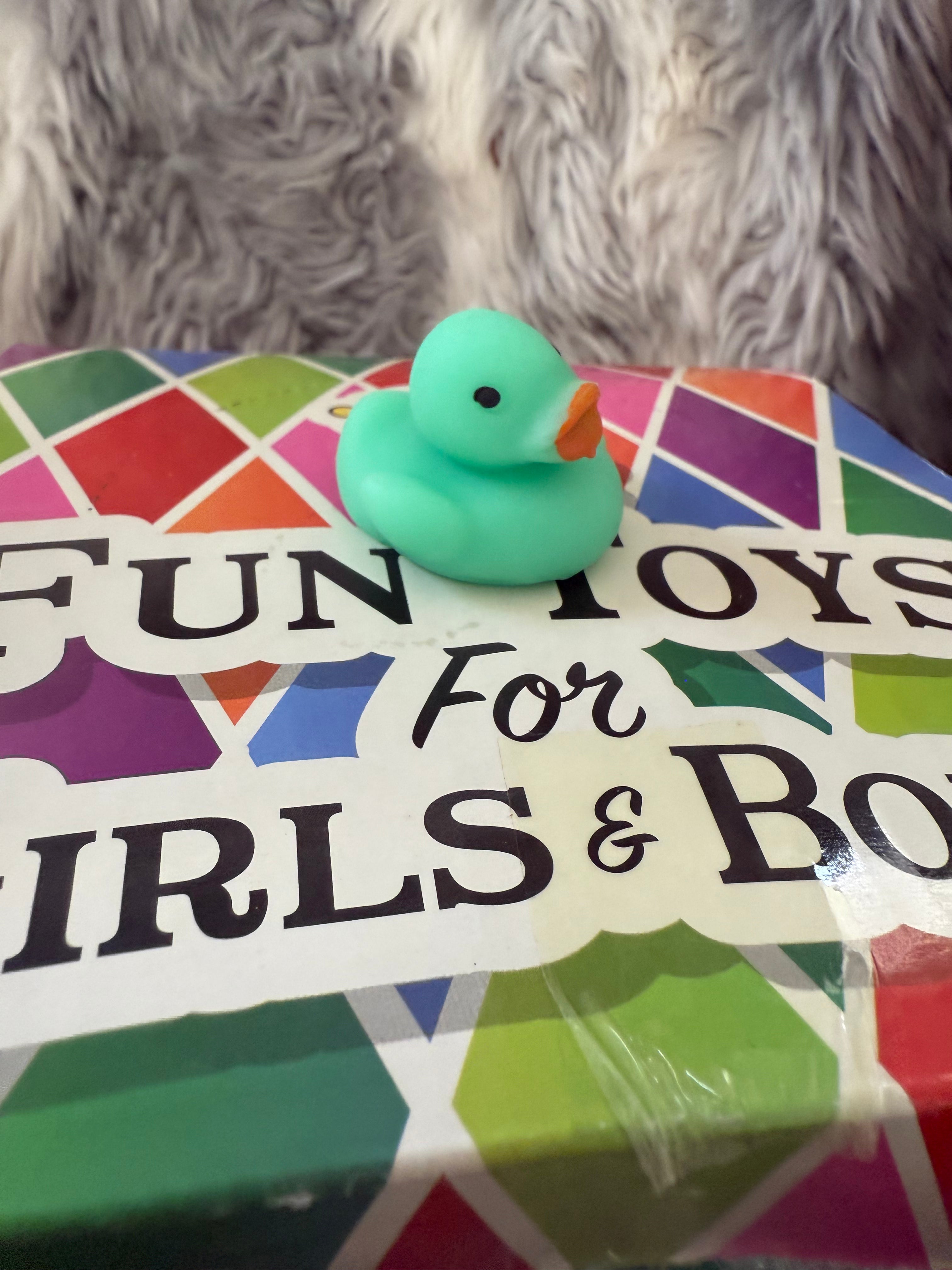 Mini Duck Squishy