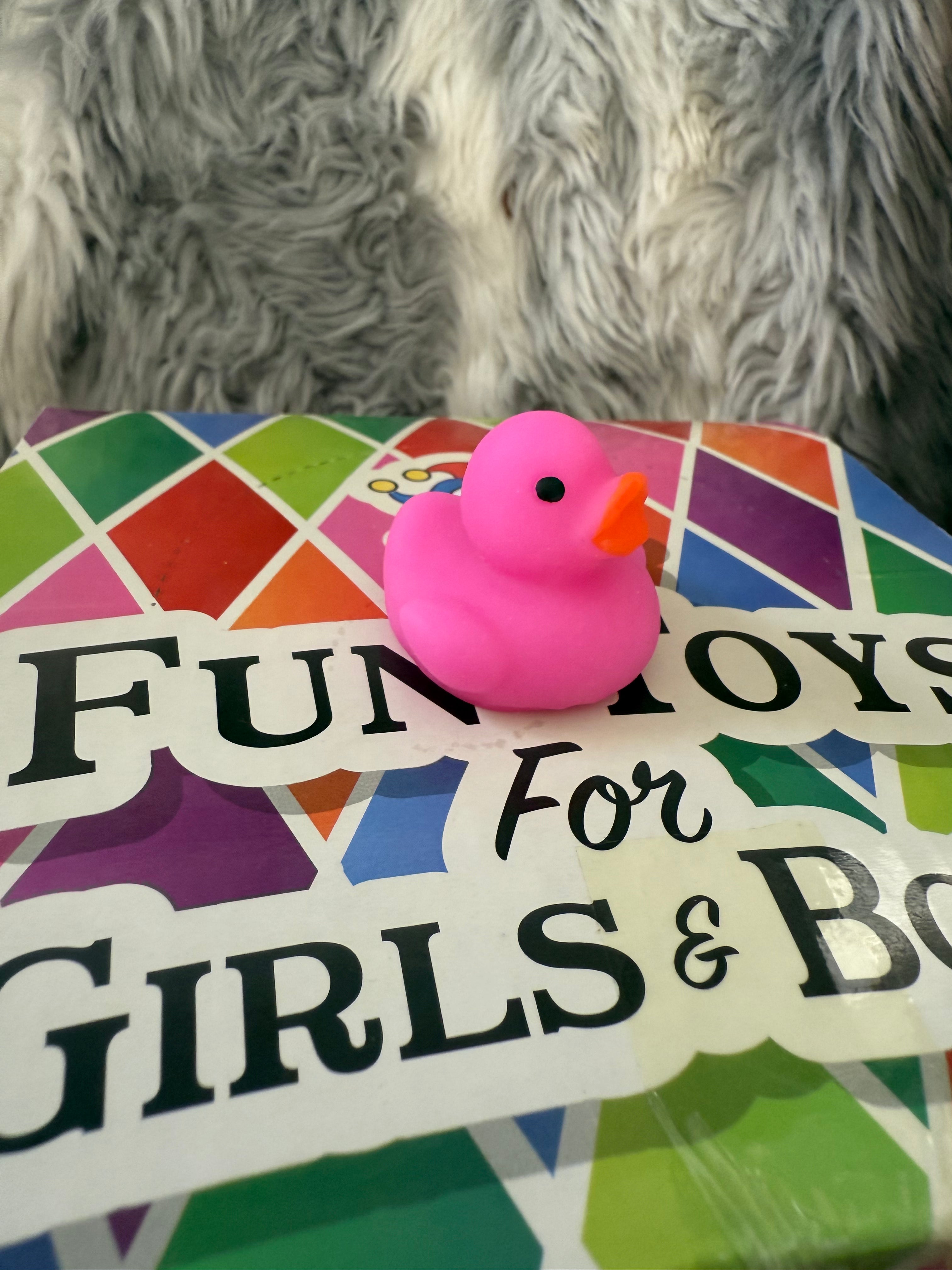 Mini Duck Squishy